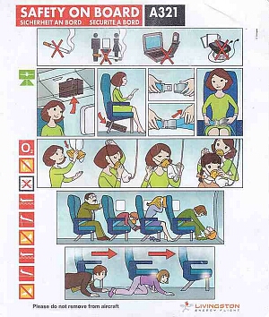 livingston energy flight a321.jpg
